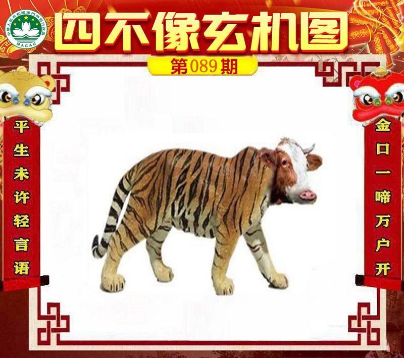 图片加载中...