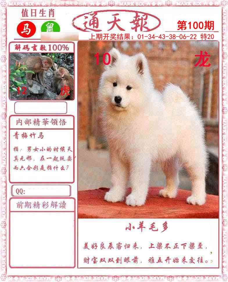 图片加载中...