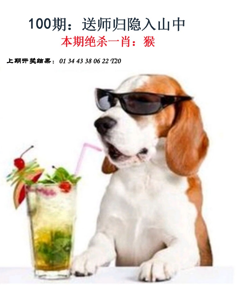 图片加载中...