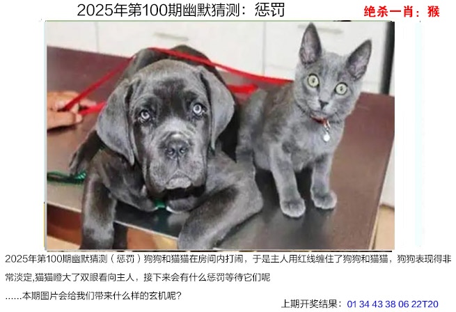 图片加载中...