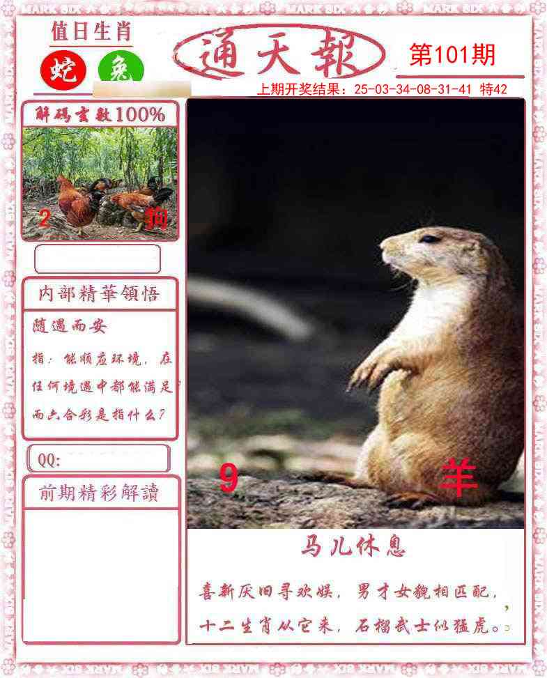 图片加载中...