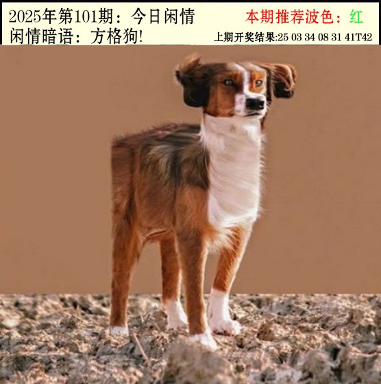 图片加载中...
