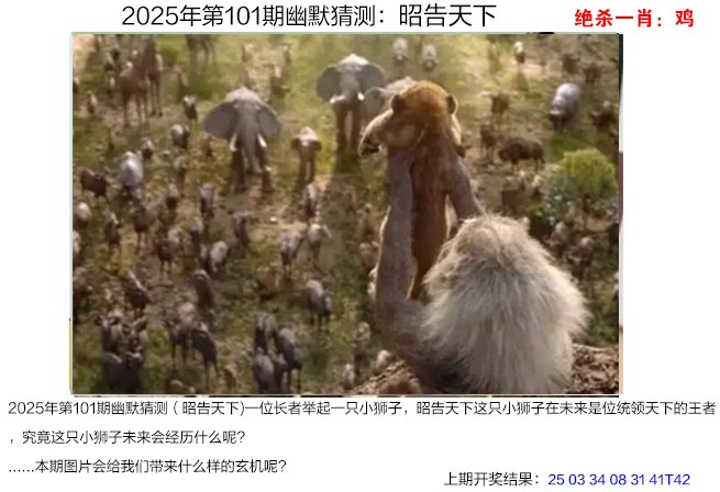 图片加载中...