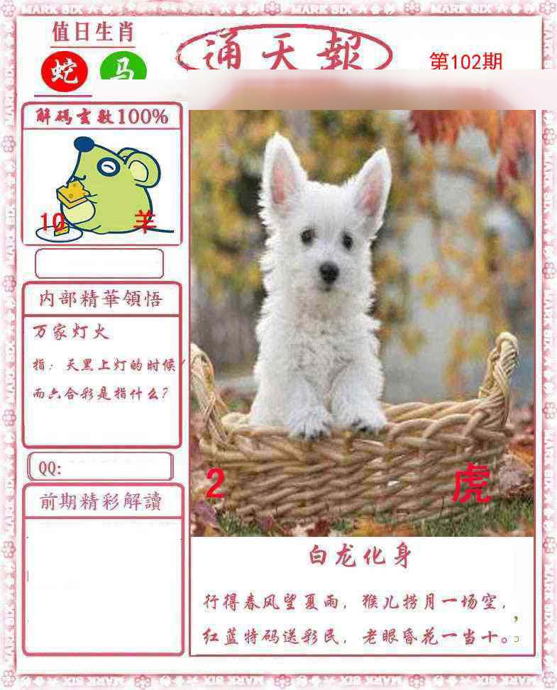 图片加载中...