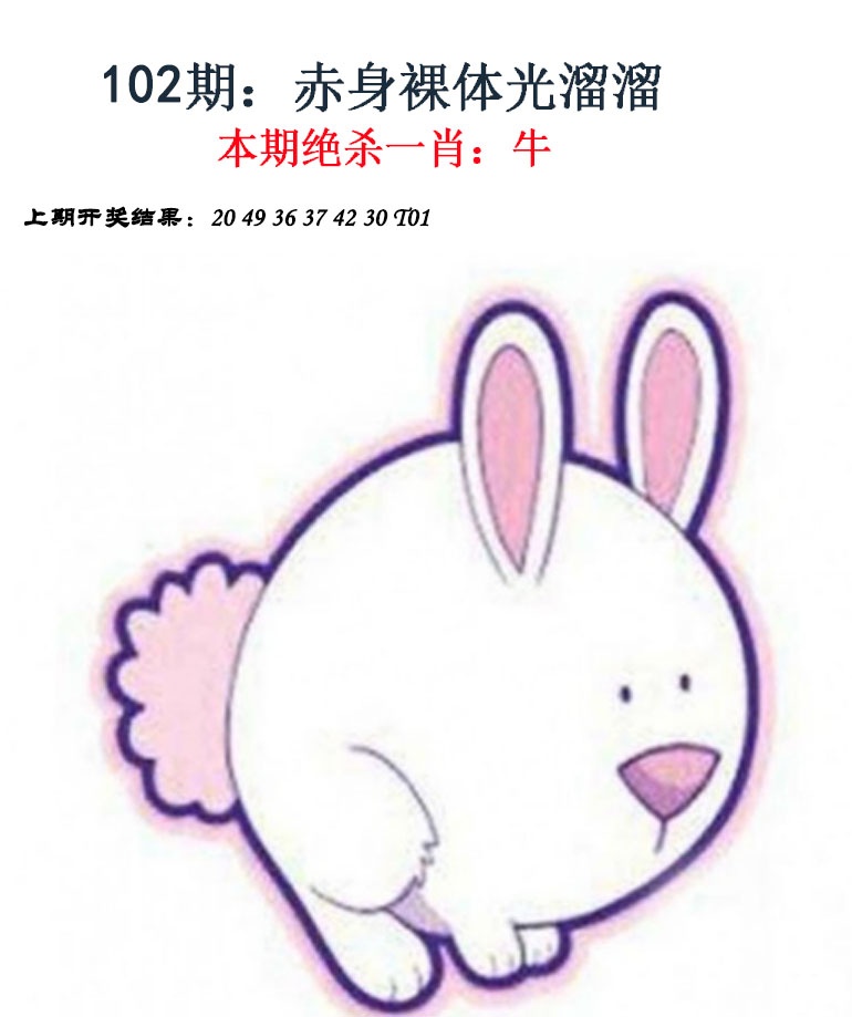 图片加载中...