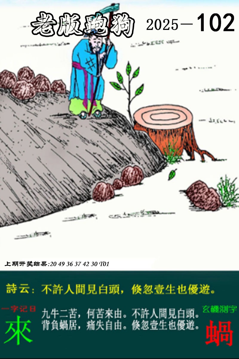图片加载中...