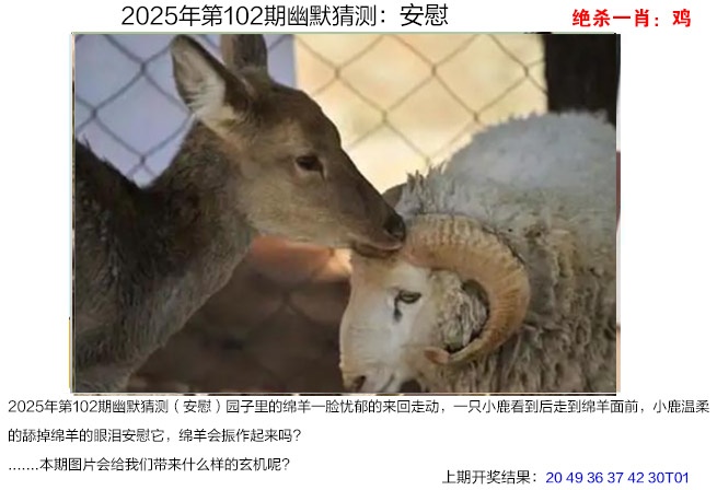 图片加载中...