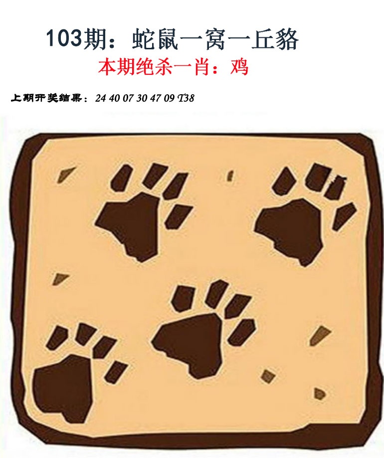 图片加载中...