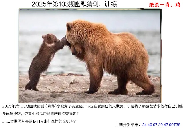 图片加载中...