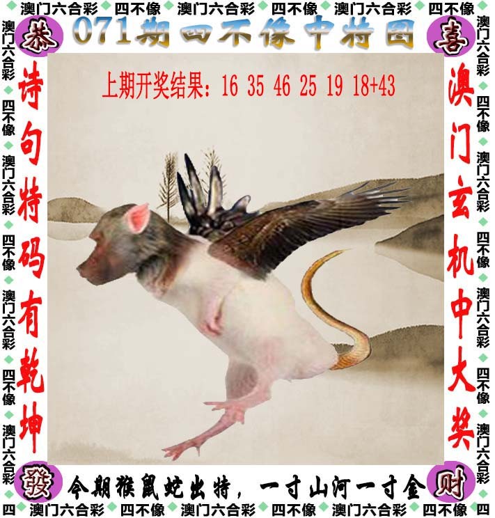 图片加载中...