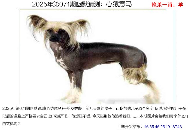 图片加载中...