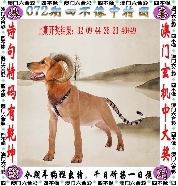 图片加载中...