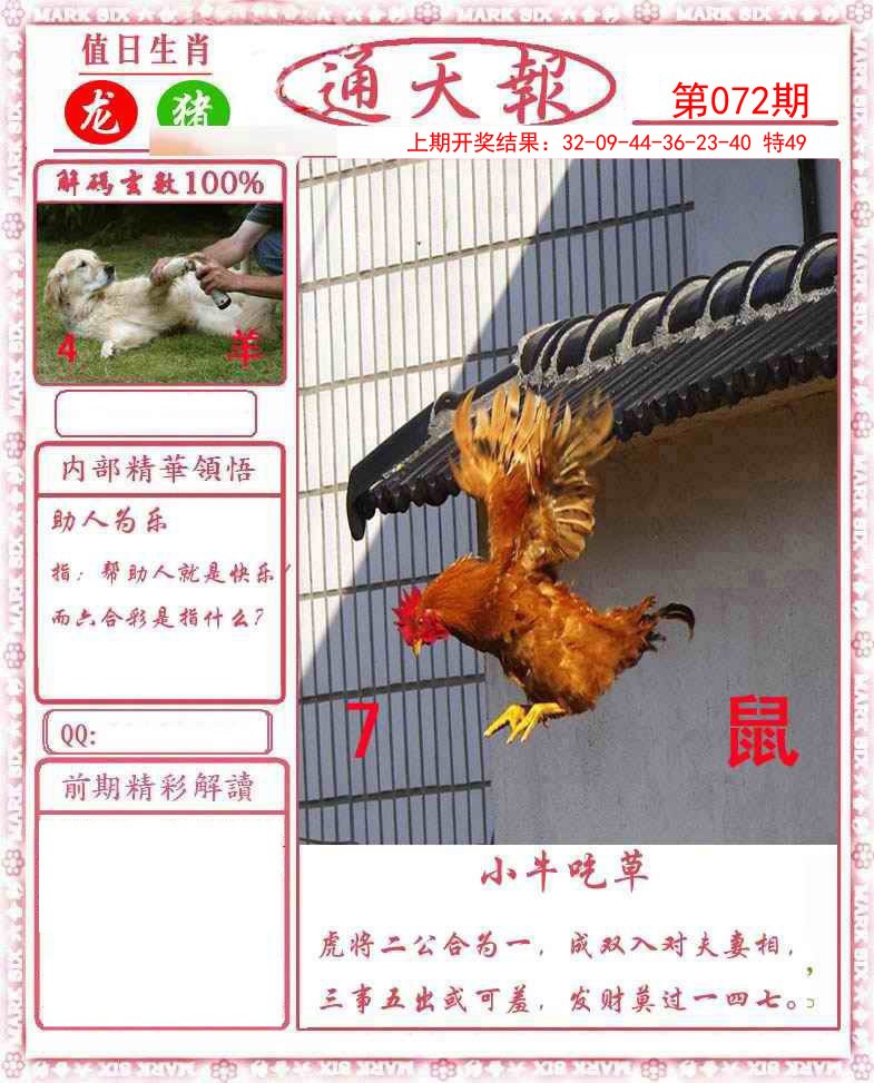 图片加载中...