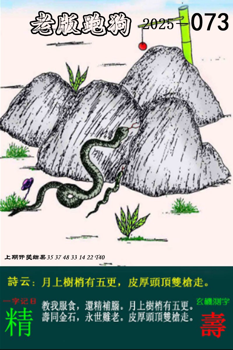 图片加载中...