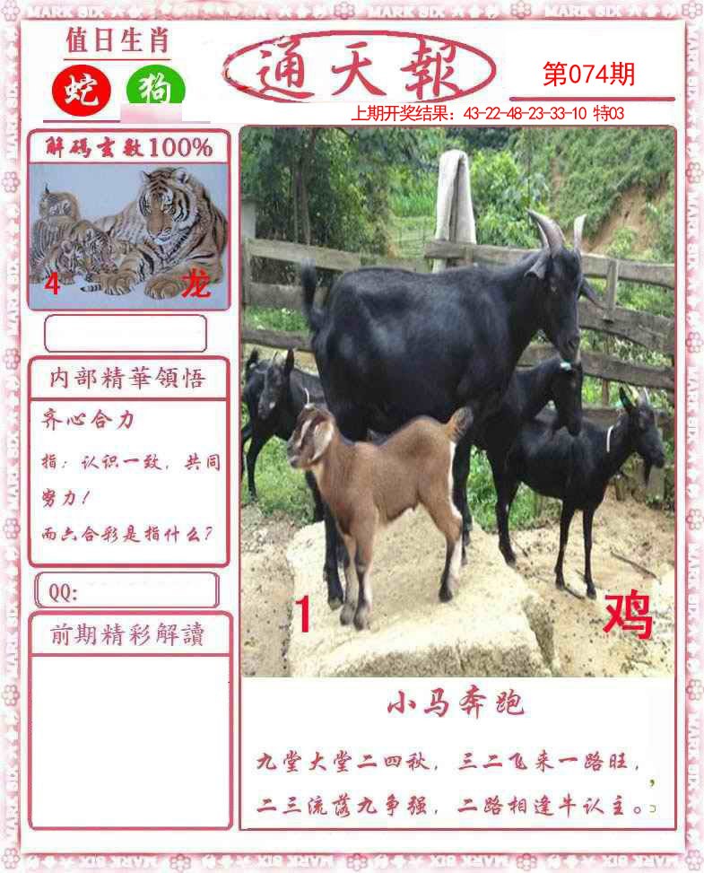 图片加载中...