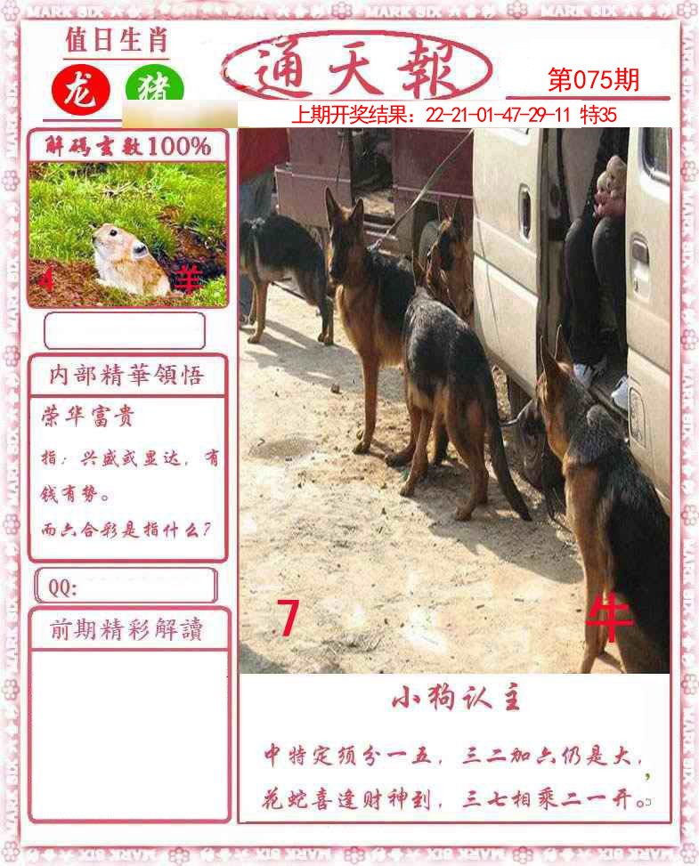 图片加载中...