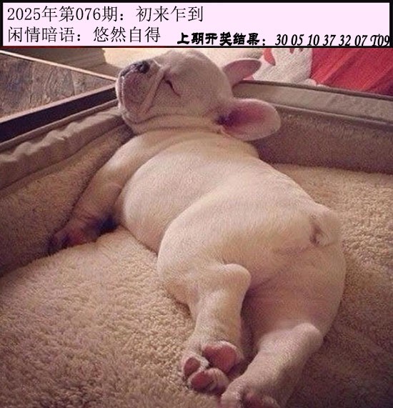 图片加载中...