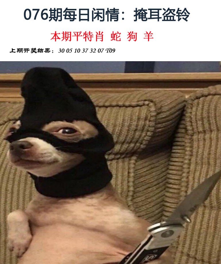 图片加载中...