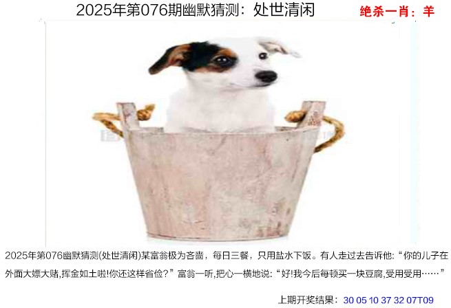 图片加载中...