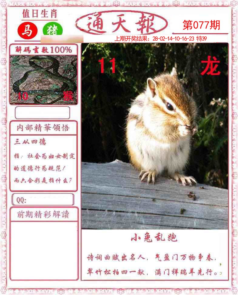 图片加载中...
