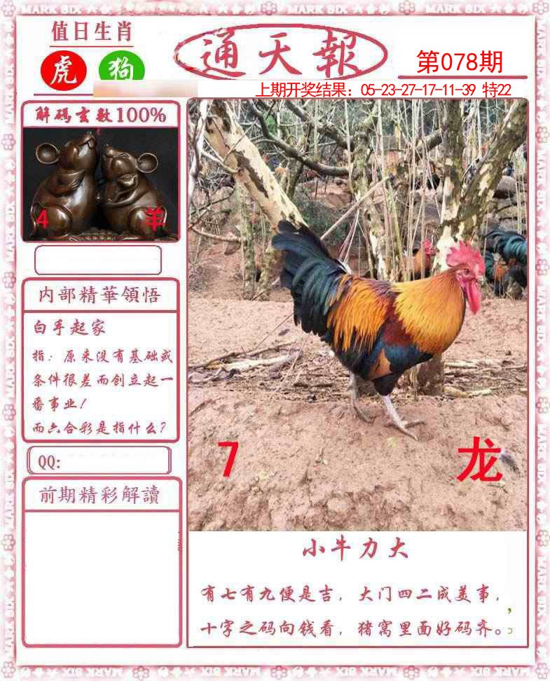 图片加载中...