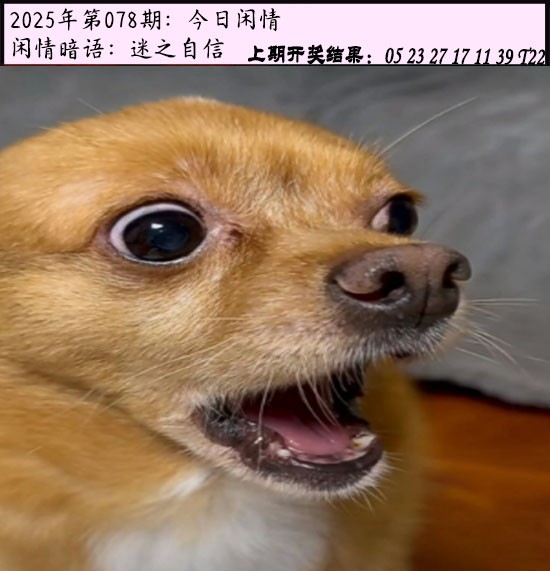 图片加载中...