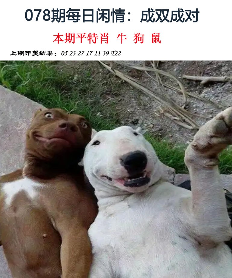 图片加载中...