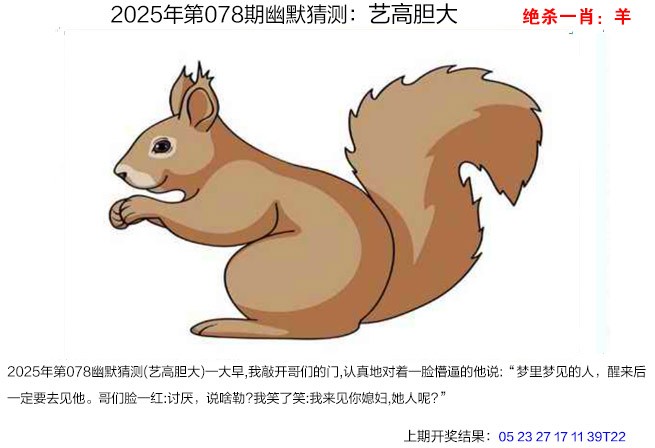 图片加载中...