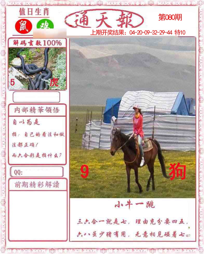 图片加载中...
