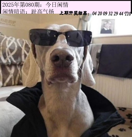 图片加载中...