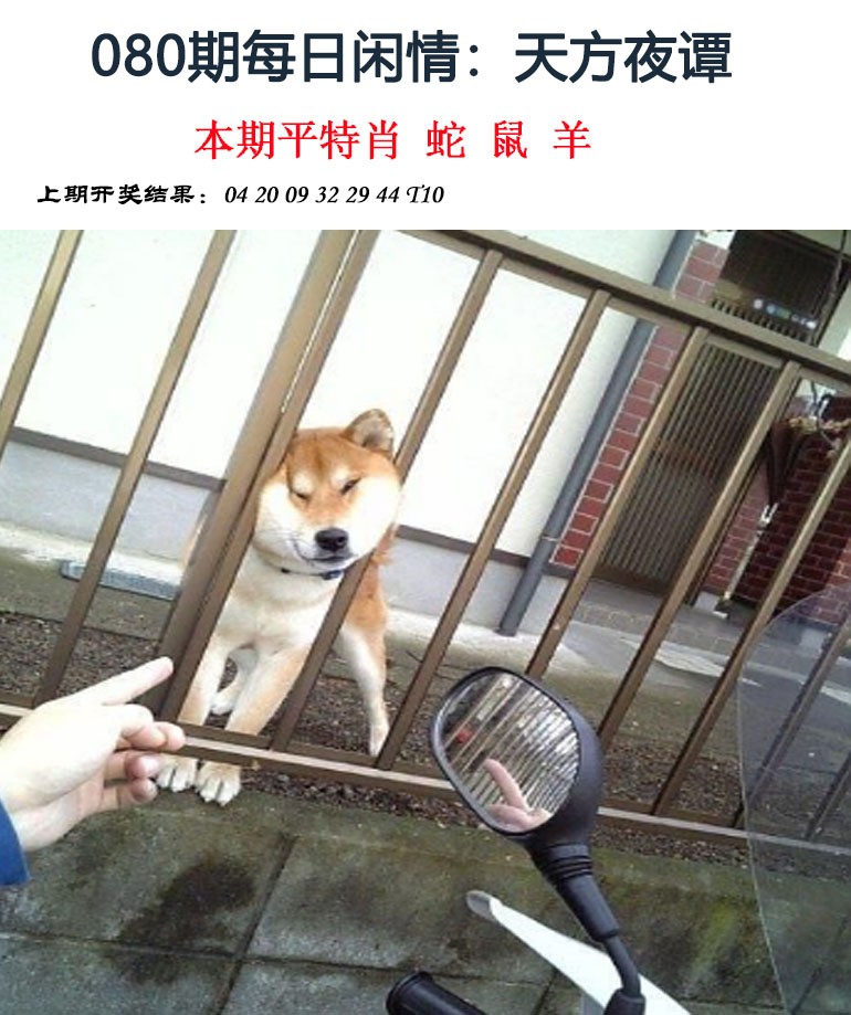 图片加载中...