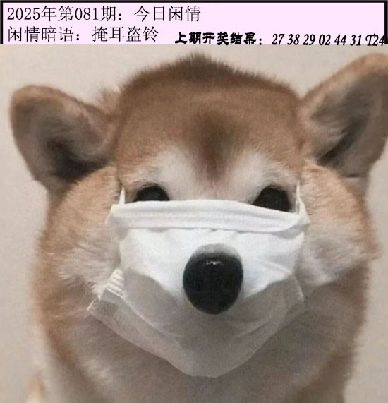图片加载中...