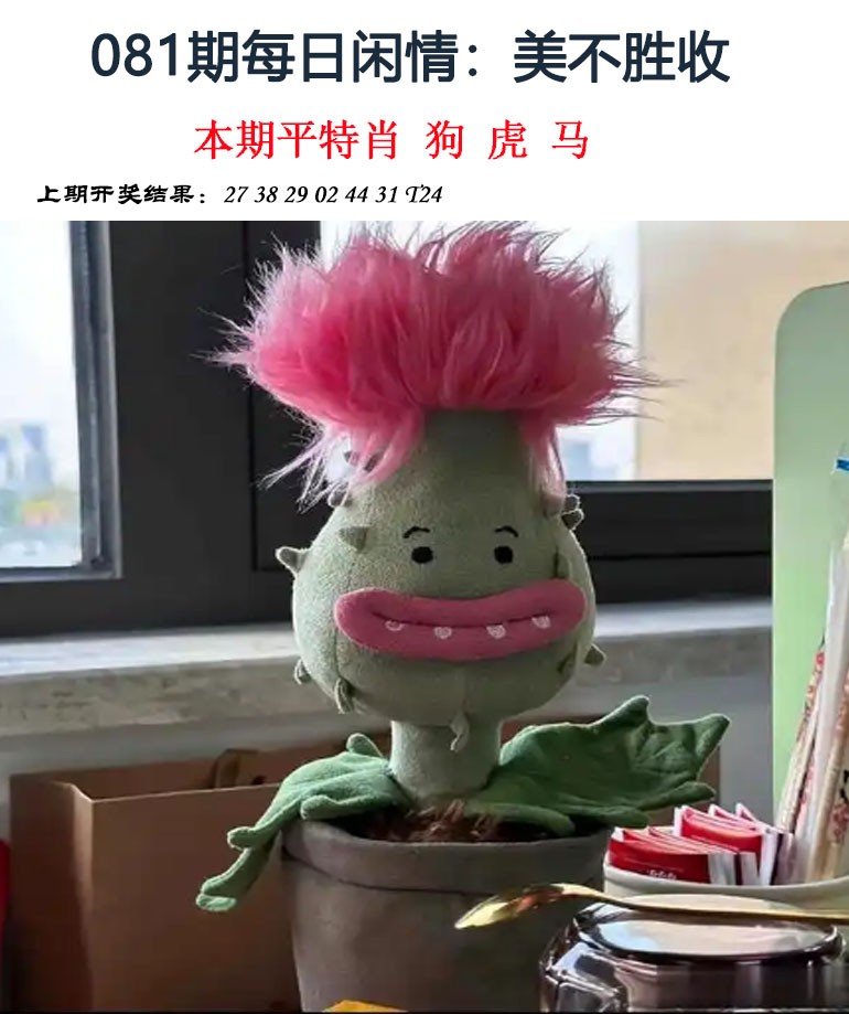 图片加载中...