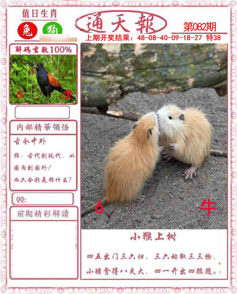 图片加载中...