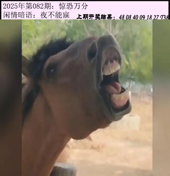 图片加载中...