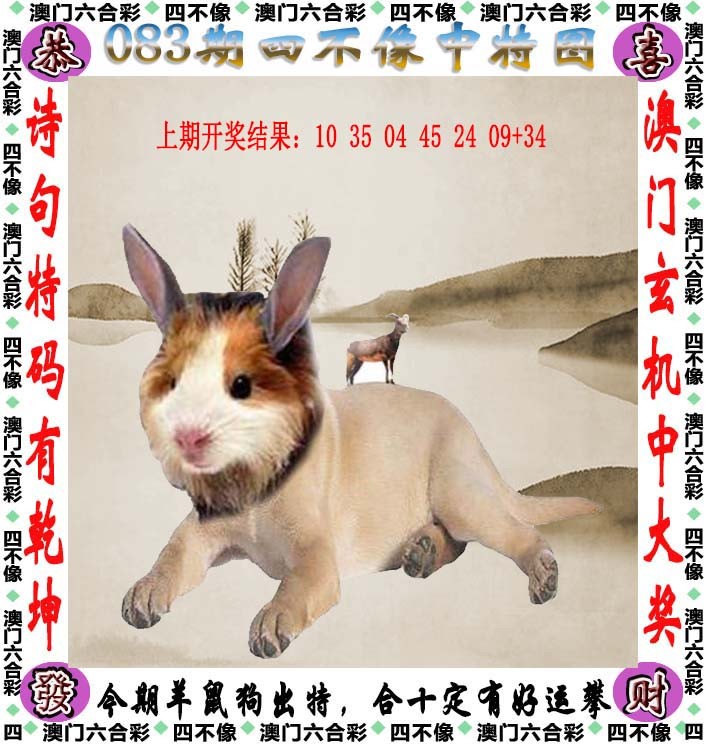图片加载中...