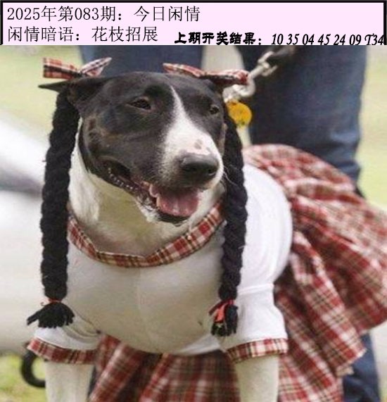 图片加载中...