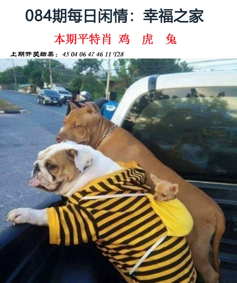图片加载中...