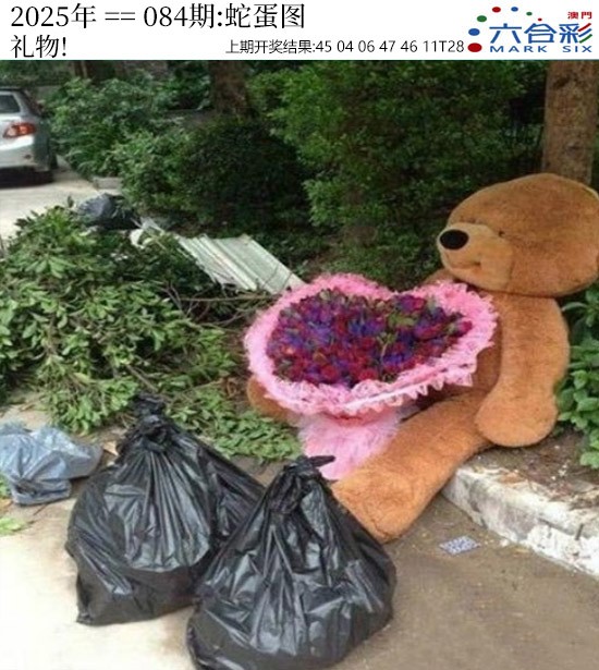 图片加载中...