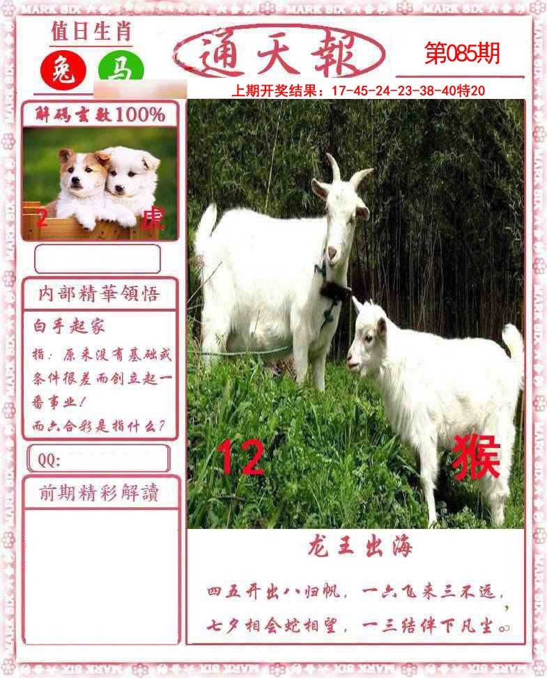 图片加载中...