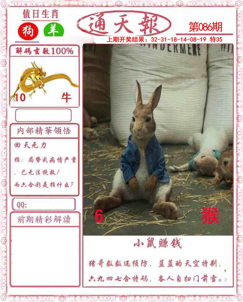 图片加载中...