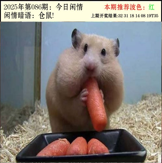 图片加载中...
