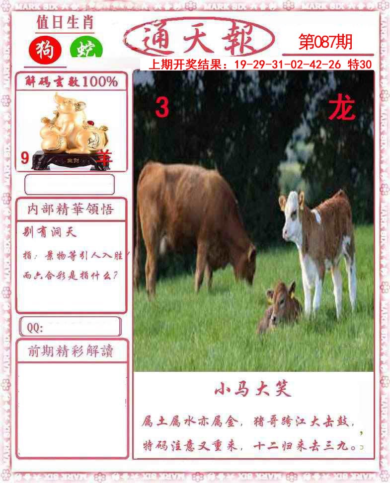 图片加载中...