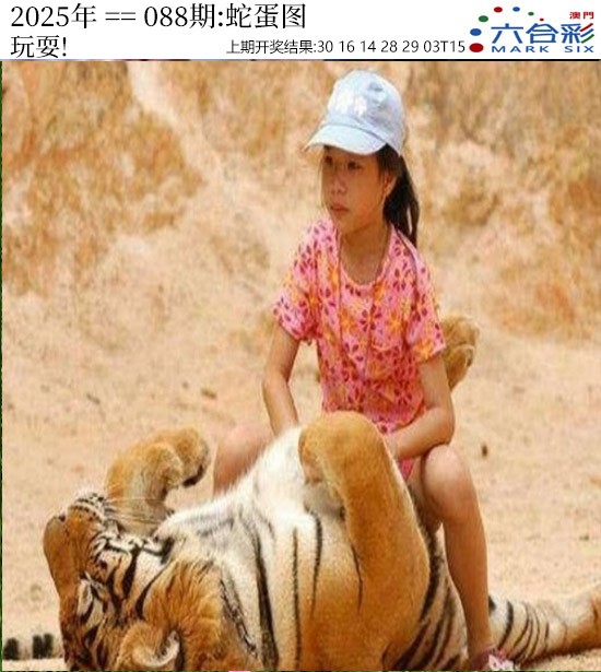 图片加载中...