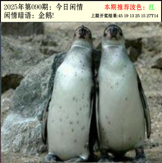 图片加载中...