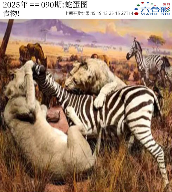 图片加载中...
