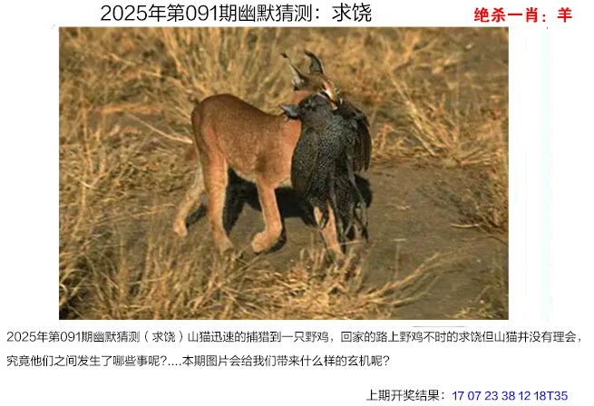图片加载中...