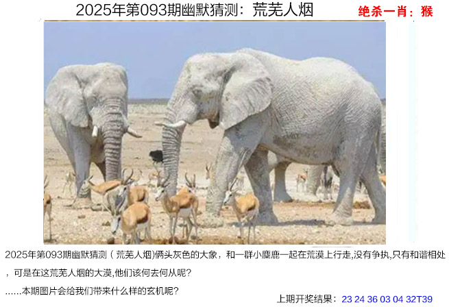 图片加载中...