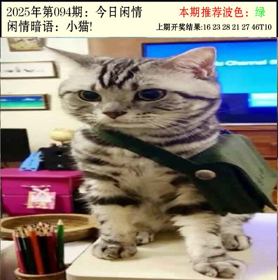 图片加载中...
