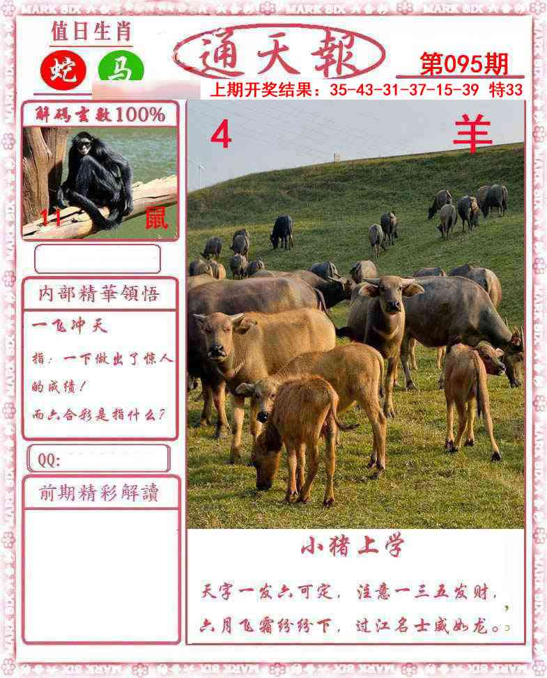 图片加载中...